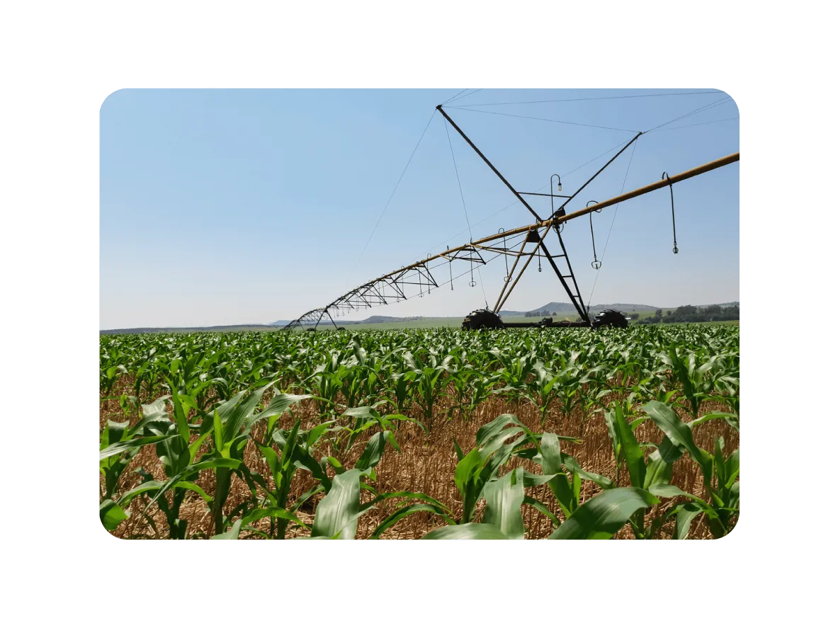 海外プロジェクト